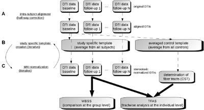 Longitudinal Diffusion Tensor Imaging-Based Assessment of Tract Alterations: An Application to Amyotrophic Lateral Sclerosis